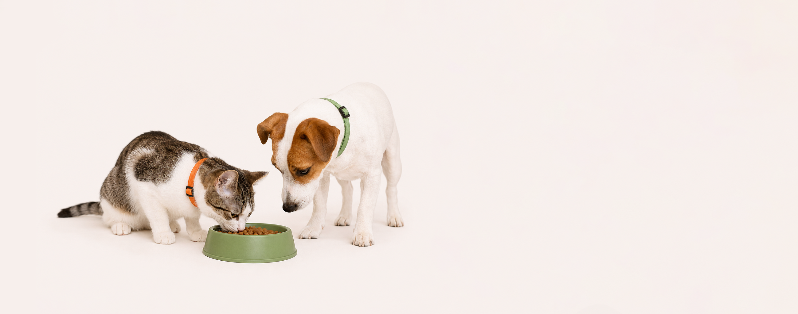 Come Aiutiamo il Tuo Animale